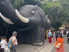 -野象谷景区