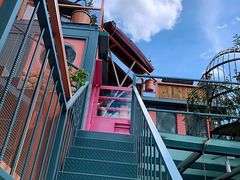 -喵屿·大理花园猫咖