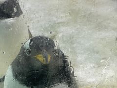 -大连圣亚海洋世界