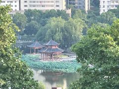 -月湖风景区