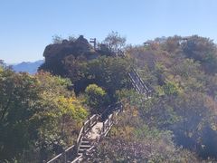 -大岭沟猕猴桃谷风景区