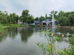-成飞公园