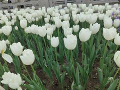 -玄武湖景区-情侣园游乐场