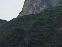 -白帝城·瞿塘峡景区