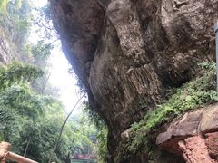 -川西竹海景区