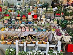 -循礼门鲜花花市(武汉循礼门店)