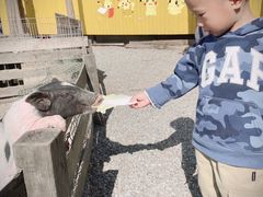 -前小桔亲子创意农场·草莓采摘·露营烧烤