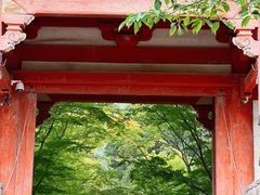 -醍醐寺