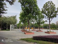-映月湖公园