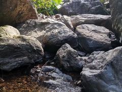 -银瓶嘴森林公园