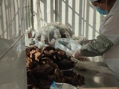 -上海牛羊肉公司塘沽路清真门市部