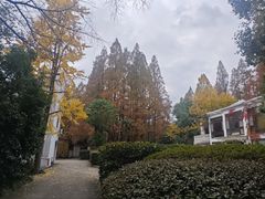 -上海虹桥迎宾馆