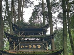 -青城山