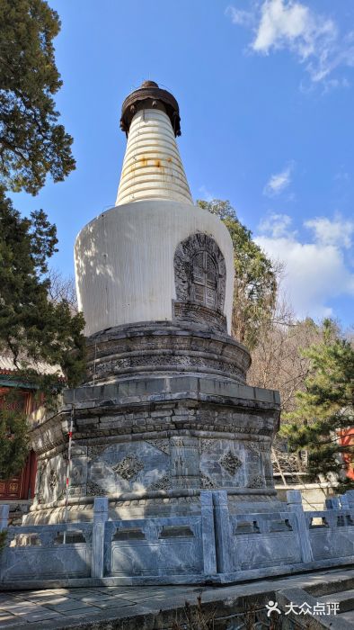 大觉寺-停车场图片