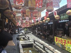 -茯茶镇