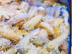 -鲜得莱渔港·小平岛海胆馆(七贤岭店)