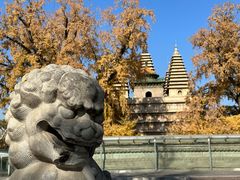 -北京石刻艺术博物馆(五塔寺)