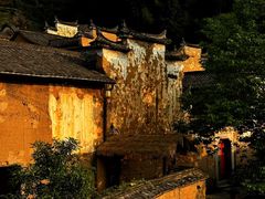 -杨家堂村