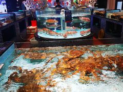 -尚海豆捞(乐虹坊店)