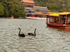 -珠海圆明新园
