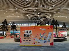 -青岛胶东国际机场