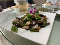 -丁老爷子苏香圆