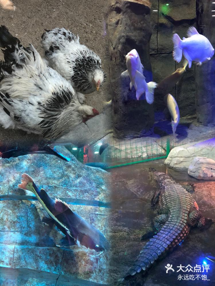 金华|约上小姐妹一起去海洋馆吧