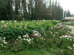android_upload_pic-秀丽东方