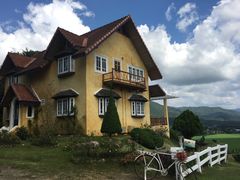 -黄色小屋
