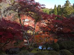 -醍醐寺