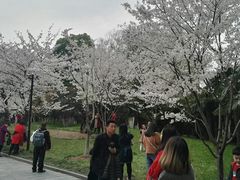 -堤角公园