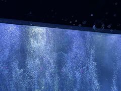 -波塞冬旅游度假区