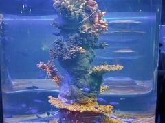-北海·海洋之窗