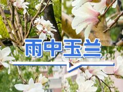 -上海电影博物馆