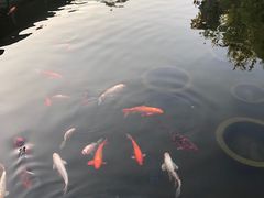 -梅园