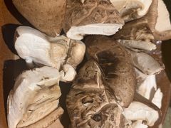 -重庆老灶 Chong Qing Lao Zao