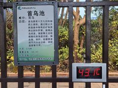 -林丰温泉度假山庄
