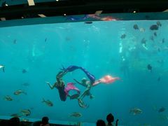 -瑞德姆美人鱼海底演艺主题餐厅(亚龙湾店)