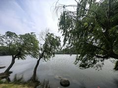 -宁波富邦荪湖山庄(慈城古县城店)