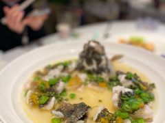 -桂满陇·海市蜃楼·黑金(国金店)