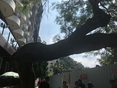 -日月潭