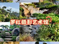 -罗红摄影艺术馆