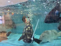 -金迎海鲜酒家(金凤凰广场店)