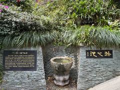 -十八棵（老龙井）御茶园(老龙井店)