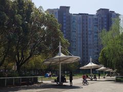 -新江湾城公园
