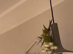 -春树下·树屋花房西餐厅(罍街AS1980店)