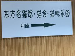 -东方名猫馆·英短金渐层布偶猫舍(环线广场1号楼店)