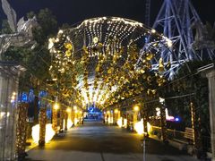 -锦江乐园舞狸花花游园会(夜场专享)