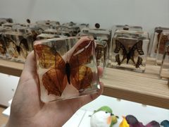-浙江自然博物院(杭州馆)