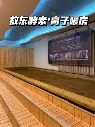 -敖东酵素·离子暖房
